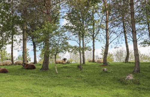 Bryn Eira Stables - Foto 49