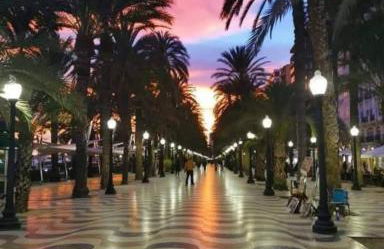 Jardin del Mar Playa Muchavista - El Campello - Alicante - Photo 42