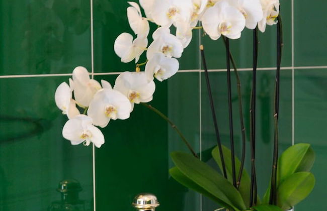 Villa Regina - Foto 21