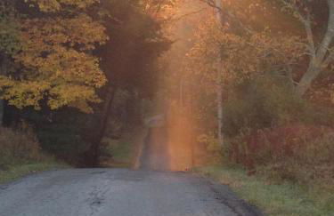 Apple Orchard & Forest Retreat with Woodland Pond - Foto 9