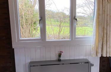 Luxury cosy carriage with electric private hot tub - Photo 20