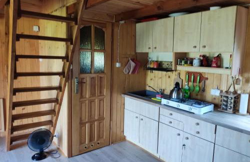 Domki w Bieszczadach - Foto 25