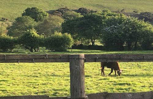 The Artists Barn - Foto 19