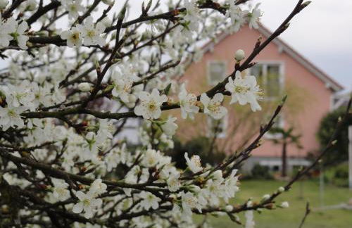 Ferienwohnung Westend - Foto 28
