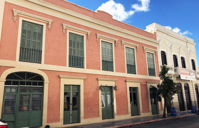 Gladiolas 1 209 - Foto 15