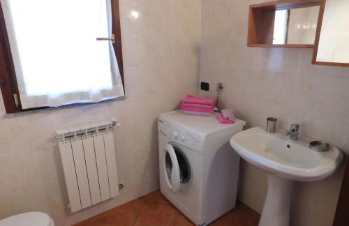 Rosmarino 2 - Foto 18