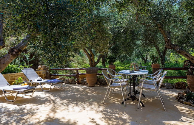 The Olive House - Photo 19