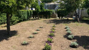 Casa antigo Ferro Crucieira - Foto 4, Garden