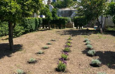 Casa antigo Ferro Crucieira - Foto 4