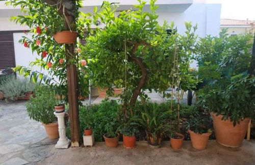 Violet Bedroom and Apartment - Photo 50