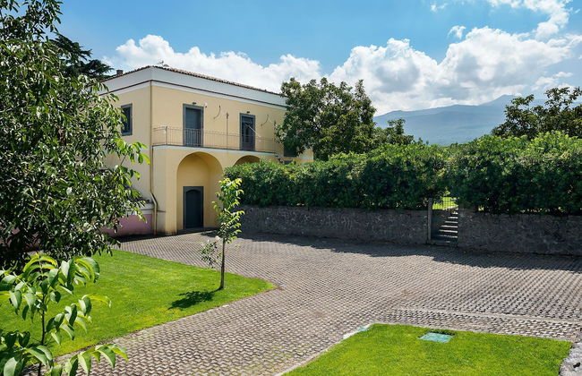 Nerello Mascalese - Foto 49