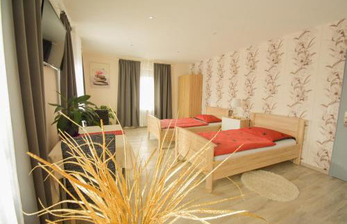 Mainzimmer - Business Apartments - Foto 52