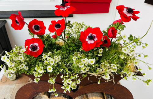 Ferienwohnung Amethyst - Photo 33