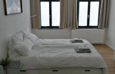 Neu eingerichtete Altbauwohnung mit Herz - Foto 8