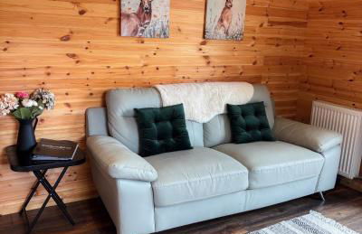 'Cosy Gem' Cabin Woodland Retreat Randalstown NI - Foto 7