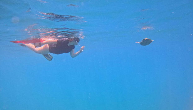 Scuba Diving on Isla del Caño - Foto 3