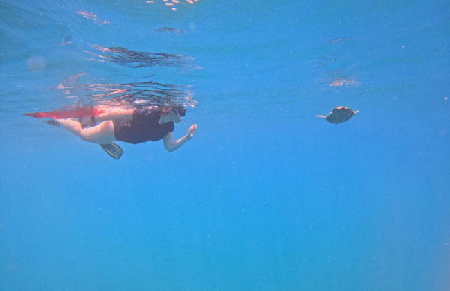 Plongée sur l'île del Caño - Photo 3