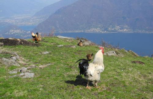 Agriturismo Piccolo paradiso - Foto 55