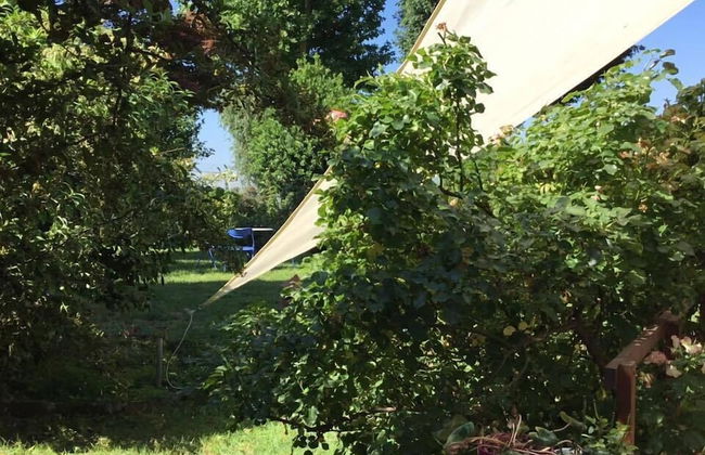 Agriturismo La Morosina - Foto 29