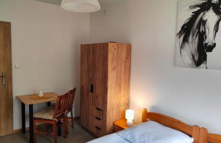 Biały Domek Nielbark - Agroturystyka - Foto 22