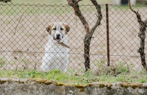 Casa D'Augusta - Agroturismo - Foto 45