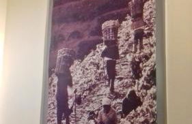 Bombarda House & Home - Foto 5