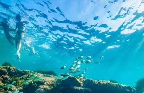 Logement La Belle Provence - Foto 23