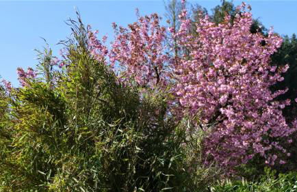 Lieblingsort am Moor - Foto 11