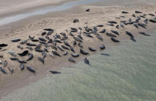 gites de Warincthun - Foto 23