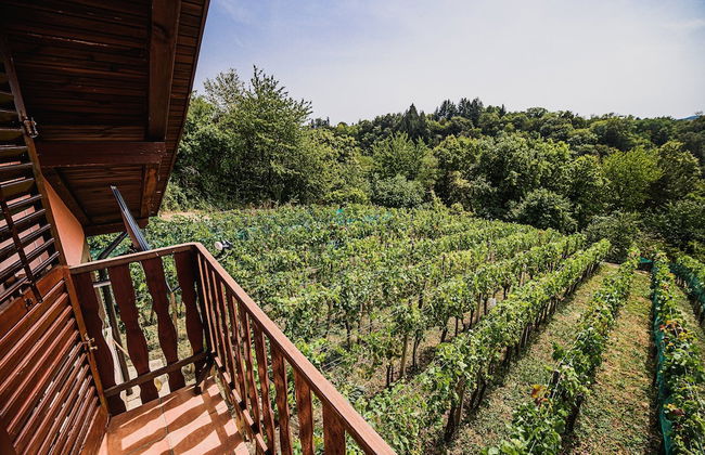 Holiday Home Vesna with Sauna - Foto 13