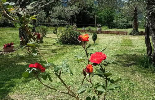 Residence Grimani - Photo 31