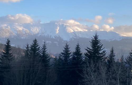 Zawoja Nad Koroną z jacuzzi - Foto 43