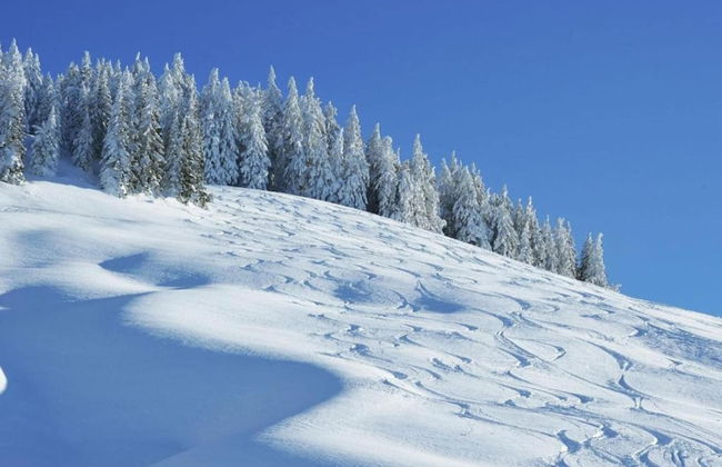 Spacious Apartment in Salzburg near Ski Area - Foto 32