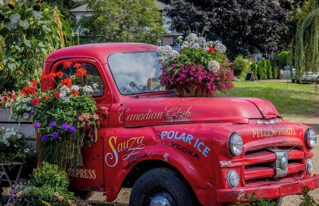 Rayleigh River Retreat - Garden Oasis - Photo 58