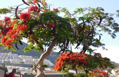 Brisas del Mar - Foto 26