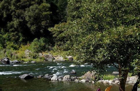 Charming Cottage Rental with Fabulous Views of the Trinity River in Northern California - Foto 17