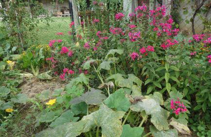 Apartment Mia - Foto 48