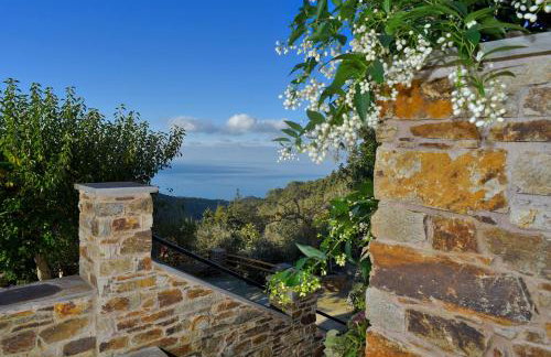House in Εndless green - Arethousa, Ikaria - Photo 4