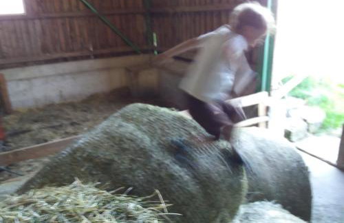 Allgäu Ferienhof Schönberger - Photo 57