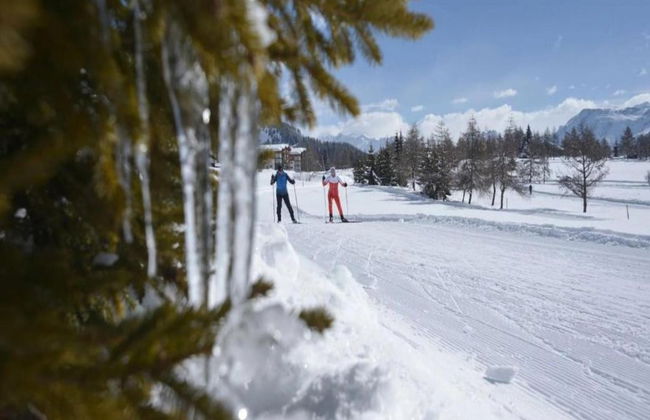 Attractive Chalet in Fiesch-wiler With Views - Foto 30