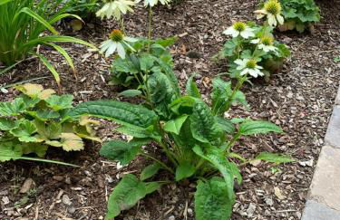 Ferienwohnung Am Haarhaus - Foto 19
