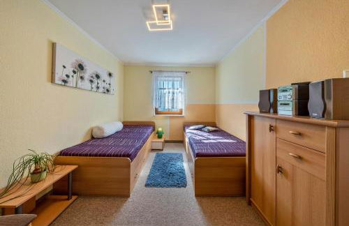 Pillnitzer Schlossblick - Photo 13