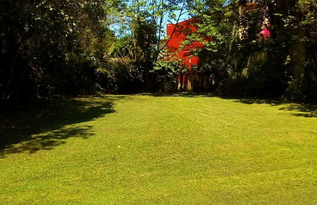 House of Ficus Banderilla,veracruz-mexico - Foto 49