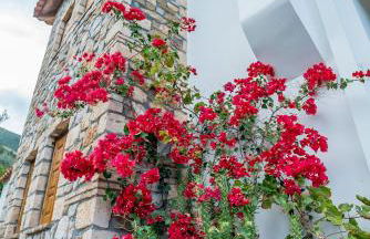 Yialasi Hotel - Foto 39