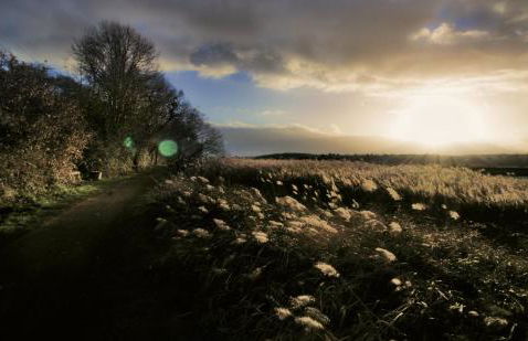 Chic Pet-Friendly Cottage, Fireplace, Wivenhoe - Foto 34