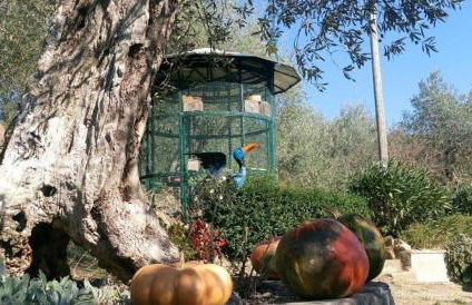 casaemilia2 - Foto 33