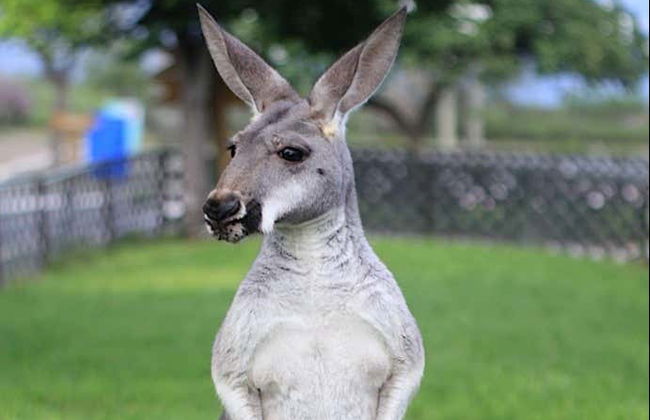 Excursion au centre écologique Xenpal - Photo 5