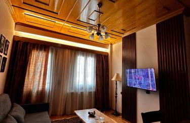 MetsoVillas στο κέντρο του Μετσόβου - Photo 14