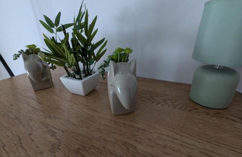 The boot factory - Foto 55