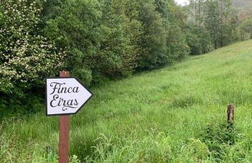 Finca Eiras - Foto 30